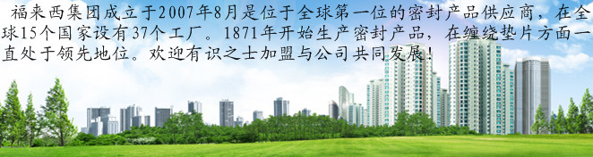 福来西密封技术（苏州）有限公司