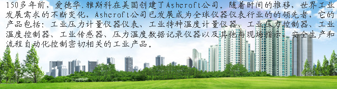 雅斯科仪器仪表（苏州）有限公司