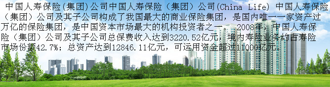 中国人寿保险（集团）公司
